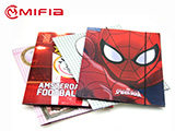 Paper Printed Folder With Lamination