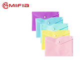 Pastel Plastic Glossy Envelope Folder File 